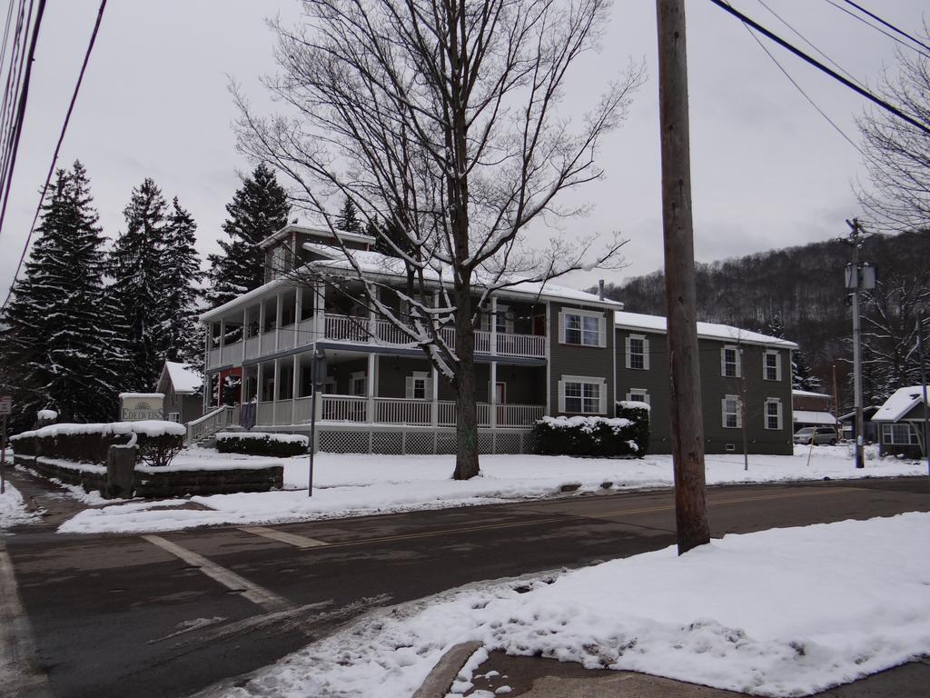 Edelweiss Ski Lodge เอลลิคอตต์วิลล์ ภายนอก รูปภาพ